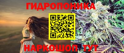 марки lsd Будённовск
