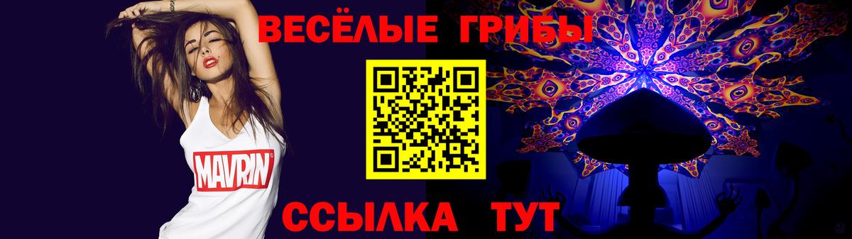 Псилоцибиновые грибы ЛСД  Вход с VPN  Салават 